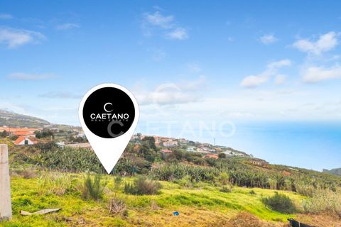 Villa i Calheta, Madeira, Calheta - € 350.000 | Ref: 3268 - foto 10