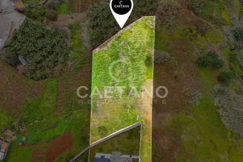Villa i Calheta, Madeira, Calheta - € 350.000 | Ref: 3268 - foto 19
