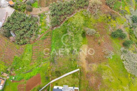 Villa i Calheta, Madeira, Calheta - € 350.000 | Ref: 3268 - foto 22