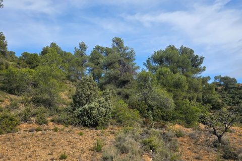 Finca i Cretas, Teruel, Cretas - € 65.000 | Ref: casa Lizu - foto 11