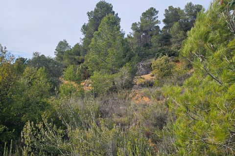 Finca i Cretas, Teruel, Cretas - € 65.000 | Ref: casa Lizu - foto 6