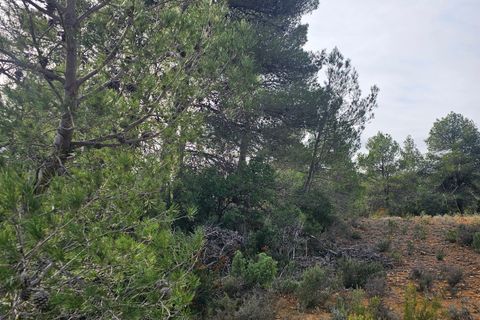 Finca i Cretas, Teruel, Cretas - € 65.000 | Ref: casa Lizu - foto 7