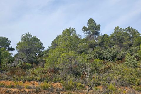 Finca i Cretas, Teruel, Cretas - € 65.000 | Ref: casa Lizu - foto 9