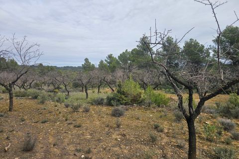 Finca i Cretas, Teruel, Cretas - € 55.000 | Ref: finca Delfi - foto 9
