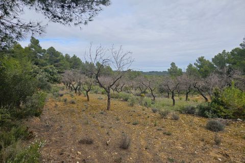 Finca i Cretas, Teruel, Cretas - € 55.000 | Ref: finca Delfi - foto 10