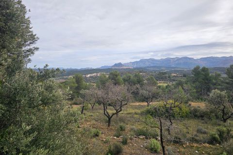 Finca i Cretas, Teruel, Cretas - € 55.000 | Ref: finca Delfi - foto 8