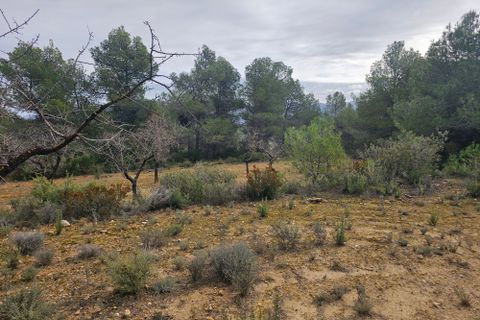 Finca i Cretas, Teruel, Cretas - € 55.000 | Ref: finca Delfi - foto 6