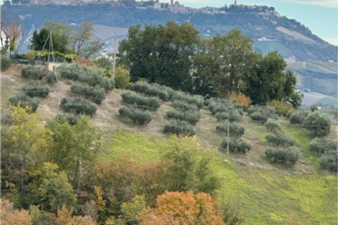 Villa a Montefiore dell'Aso, Ascoli Piceno, Montefiore dell'Aso - € 75.000 | Ref: 7015 - foto 17