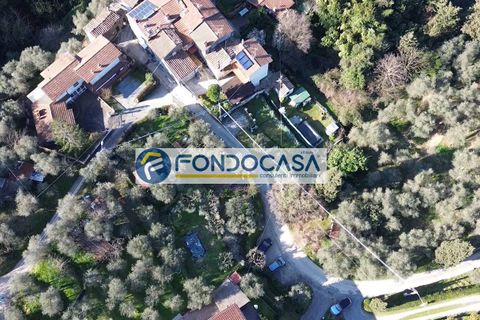 Villa i Massarosa, Lucca, Massarosa - € 150.000 | Ref: fdm667 - foto 8