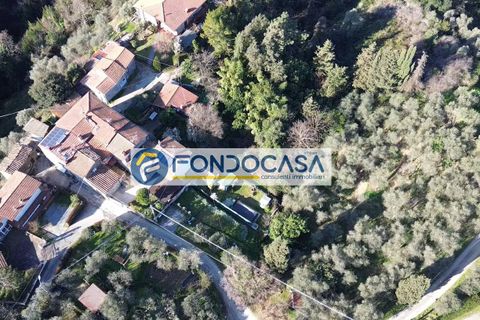 Villa i Massarosa, Lucca, Massarosa - € 150.000 | Ref: fdm667 - foto 12