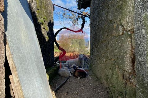 Byhus i Vila Verde, Braga, Vila Verde - € 960.000 | Ref: 08822 - foto 44