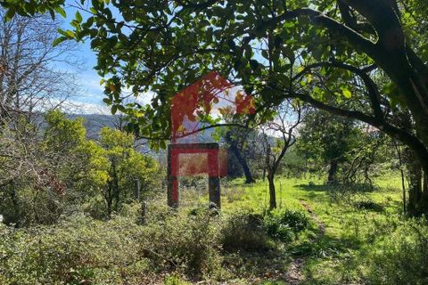 Byhus i Vila Verde, Braga, Vila Verde - € 960.000 | Ref: 08822 - foto 49