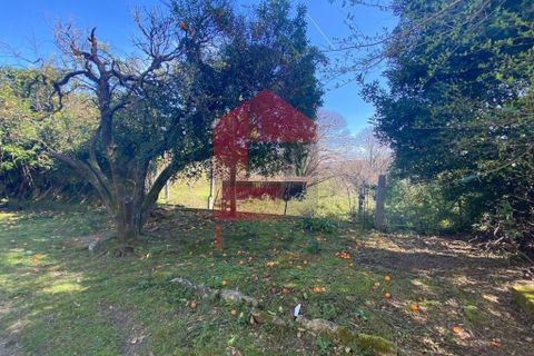 Byhus i Vila Verde, Braga, Vila Verde - € 960.000 | Ref: 08822 - foto 50