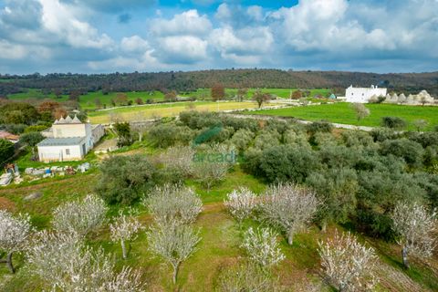 Villa i Monopoli, Bari, Monopoli - € 285.000 | Ref: 12020/2026 - foto 7