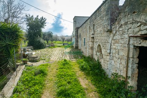 Villa i Monopoli, Bari, Monopoli - € 285.000 | Ref: 12020/2026 - foto 10