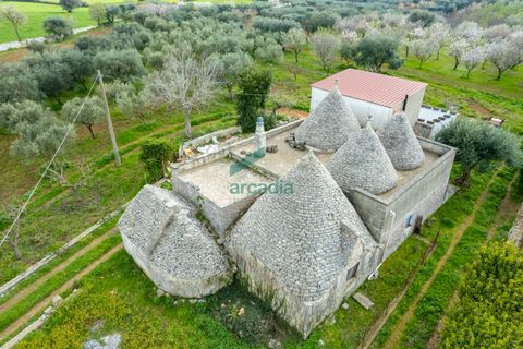 Villa i Monopoli, Bari, Monopoli - € 285.000 | Ref: 12020/2026 - foto 13