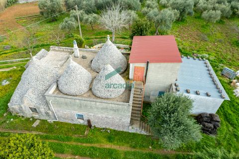 Villa i Monopoli, Bari, Monopoli - € 285.000 | Ref: 12020/2026 - foto 14