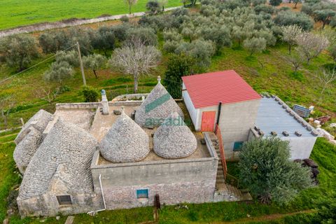 Villa i Monopoli, Bari, Monopoli - € 285.000 | Ref: 12020/2026 - foto 19