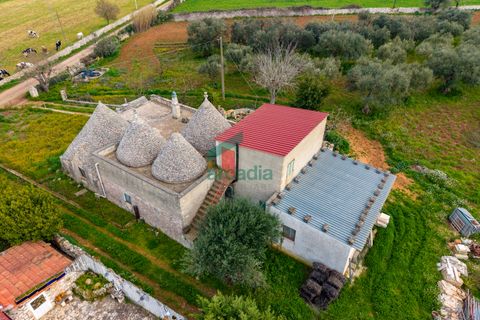 Villa i Monopoli, Bari, Monopoli - € 285.000 | Ref: 12020/2026 - foto 20