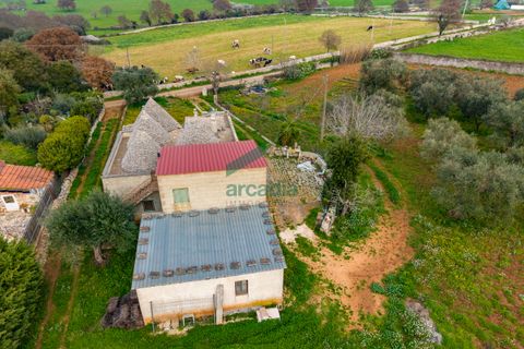 Villa i Monopoli, Bari, Monopoli - € 285.000 | Ref: 12020/2026 - foto 21