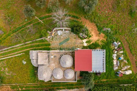 Villa i Monopoli, Bari, Monopoli - € 285.000 | Ref: 12020/2026 - foto 26