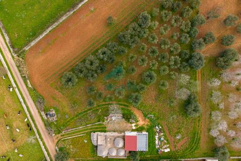 Villa i Monopoli, Bari, Monopoli - € 285.000 | Ref: 12020/2026 - foto 27