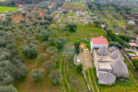 Villa i Monopoli, Bari, Monopoli - € 285.000 | Ref: 12020/2026 - foto 30