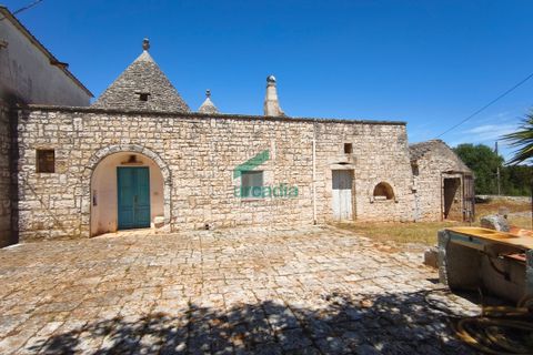 Villa i Monopoli, Bari, Monopoli - € 275 000 | Ref: 12020/2026 - foto 4