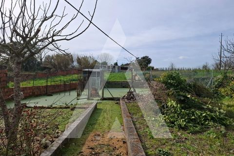 Villa i Oia, Aveiro, Oia - € 345.000 | Ref: 1210711/26 SX - foto 4