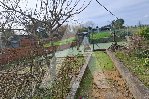 Villa i Oia, Aveiro, Oia - € 345.000 | Ref: 1210711/26 SX - foto 38