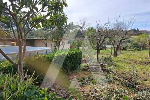 Villa i Oia, Aveiro, Oia - € 345.000 | Ref: 1210711/26 SX - foto 42