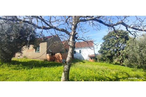 Villa i Ourem, Santarem, Ourem - € 155.000 | Ref: CAS_282 - foto 10