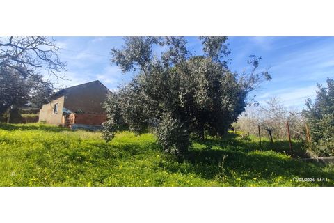 Villa i Ourem, Santarem, Ourem - € 155.000 | Ref: CAS_282 - foto 11