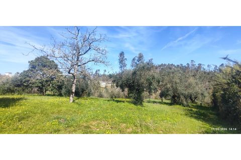 Villa i Ourem, Santarem, Ourem - € 155.000 | Ref: CAS_282 - foto 12