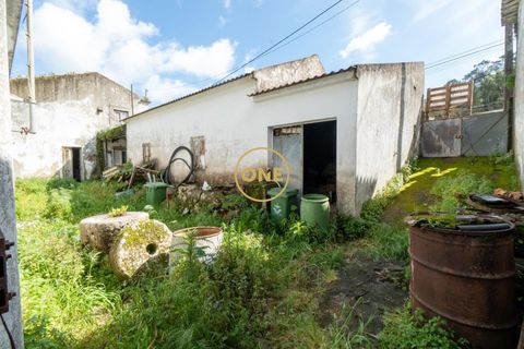 Gård i Lisbon, Lisbon, Lisbon - € 249 000 | Ref: ONE421719-13 - foto 7