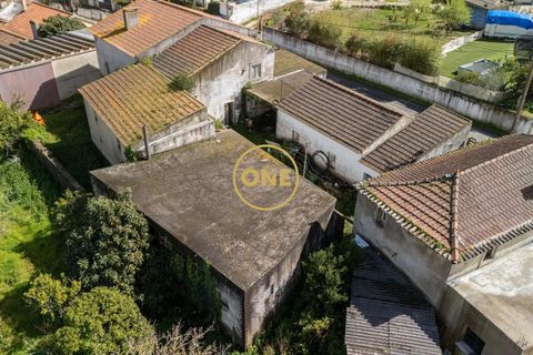 Gård i Lisbon, Lisbon, Lisbon - € 249 000 | Ref: ONE421719-13 - foto 18