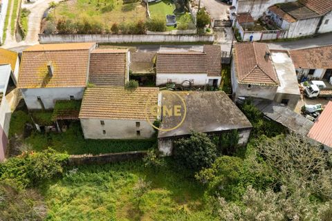 Gård i Lisbon, Lisbon, Lisbon - € 249 000 | Ref: ONE421719-13 - foto 19