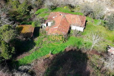 Farm i Cinfaes, Viseu, Cinfaes - € 350.000 | Ref: ONE471716-6 - foto 3