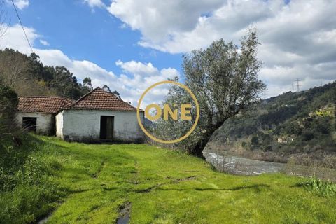 Farm i Cinfaes, Viseu, Cinfaes - € 350.000 | Ref: ONE471716-6 - foto 4