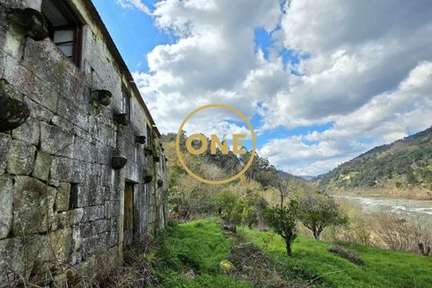 Farm i Cinfaes, Viseu, Cinfaes - € 350.000 | Ref: ONE471716-6 - foto 5