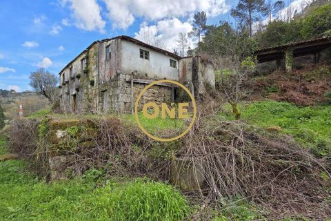 Farm i Cinfaes, Viseu, Cinfaes - € 350.000 | Ref: ONE471716-6 - foto 6