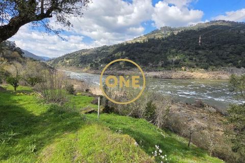 Farm i Cinfaes, Viseu, Cinfaes - € 350.000 | Ref: ONE471716-6 - foto 8