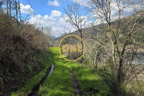 Farm i Cinfaes, Viseu, Cinfaes - € 350.000 | Ref: ONE471716-6 - foto 9