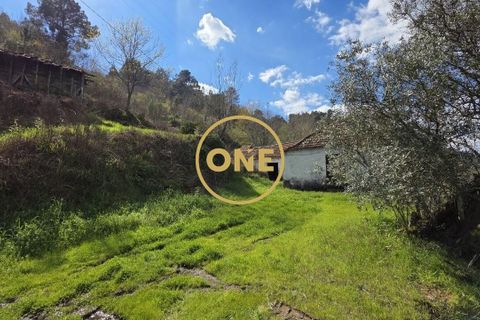 Farm i Cinfaes, Viseu, Cinfaes - € 350.000 | Ref: ONE471716-6 - foto 10