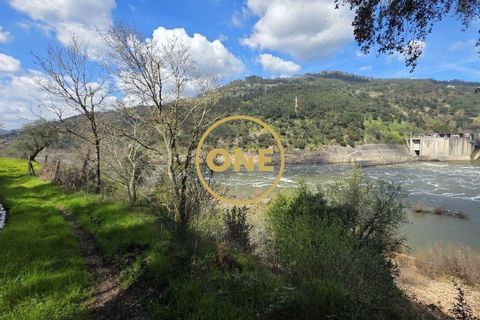 Farm i Cinfaes, Viseu, Cinfaes - € 350.000 | Ref: ONE471716-6 - foto 12