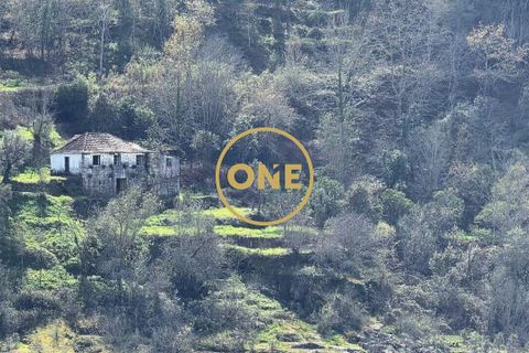 Farm i Cinfaes, Viseu, Cinfaes - € 350.000 | Ref: ONE471716-6 - foto 2