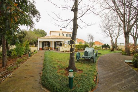 Byhus i Ponta do Sol, Madeira, Ponta do Sol - € 880.000 | Ref: ONE361961-23 - foto 43