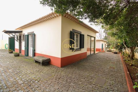 Byhus i Ponta do Sol, Madeira, Ponta do Sol - € 880.000 | Ref: ONE361961-23 - foto 48