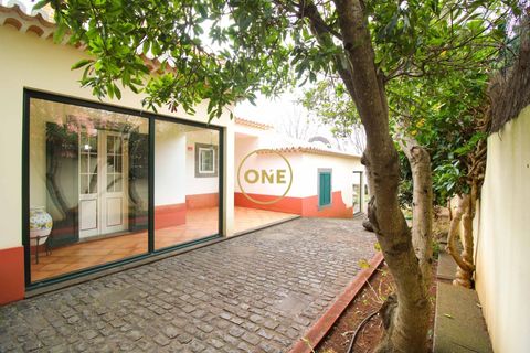 Byhus i Ponta do Sol, Madeira, Ponta do Sol - € 880.000 | Ref: ONE361961-23 - foto 49