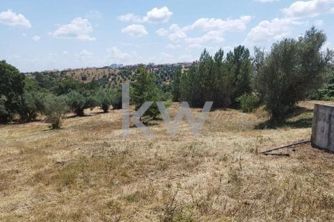 Tomt i Montargil, Portalegre, Montargil - € 140 000 | Ref: KWPT-002808 - foto 4
